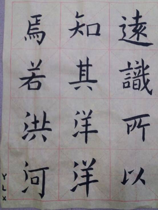 叶露馨 学而班学生 1999年10月出生 .jpg