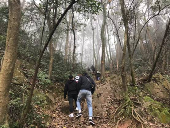 C:\Users\Administrator\Desktop\2018.11.27登山\199908728347843222.jpg