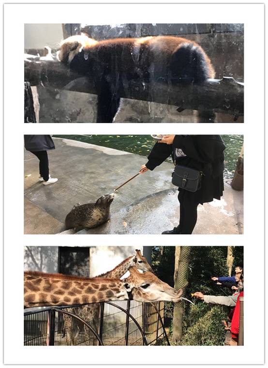 14336371_副本.jpg