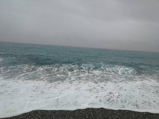廖雨欣第三 (2)